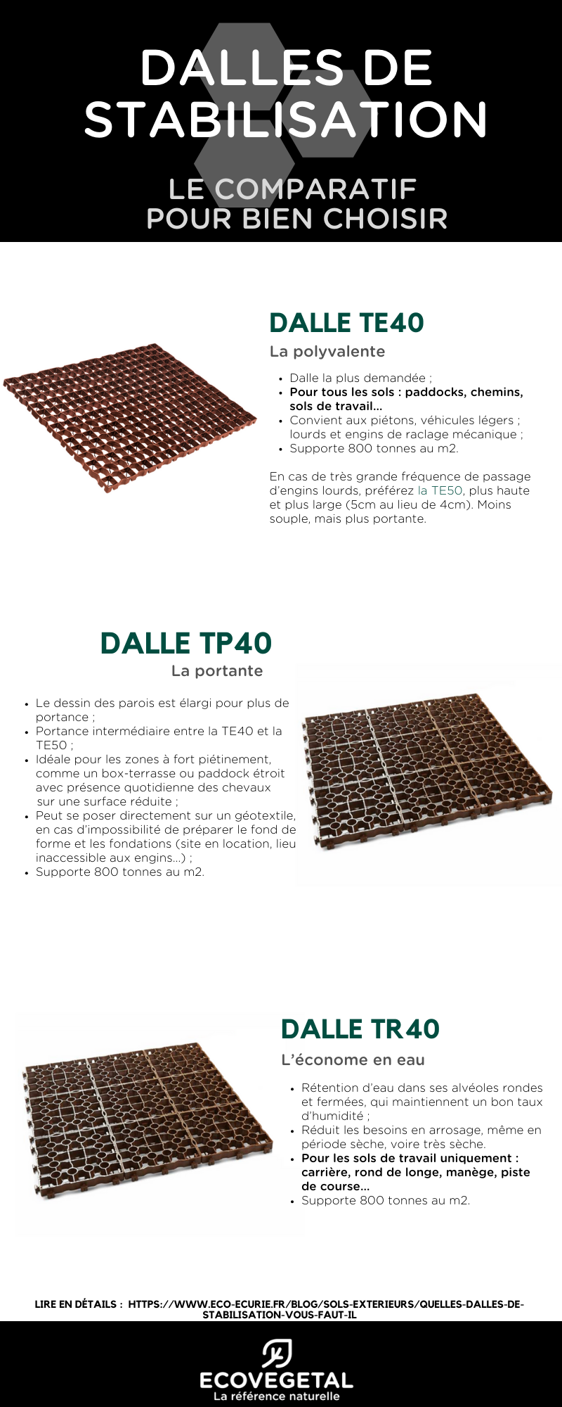 dalles stabilisation chevaux : laquelle choisir-infographie
